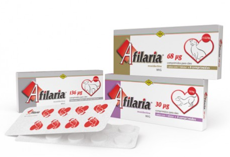 Afilaria – Veterinary Antiparasitic Treatment for Animal Health | Fatro | Maida Medicine