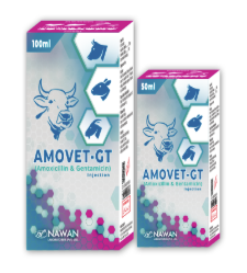 💉 AMOVET-GT Injection – Broad Spectrum Veterinary Antibiotic by Nawan Labs| Maida Medicine