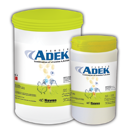 ADEK Powder – Nawan Labs | Maida Medicine Veterinary Store