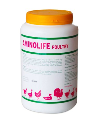 Aminolife Poultry – Veterinary Amino Acid and Vitamin Supplement for Poultry Health | Fatro | Maida Medicine
