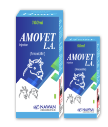 AMOVET-LA Injection – Long Acting Antibiotic by Nawan Labs | Maida Medicine