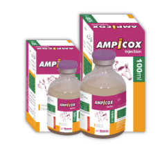 💉 AMPICOX Injection – Broad Spectrum Antibiotic for Livestock & Pets | Nawan Laboratories | Maida Medicine 🐄🐑🐕🐈