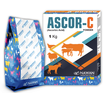 💊 ASCOR-C Powder – Vitamin C Supplement for Animals | Nawan Labs| Maida Medicine 🐄🐑🐐🐕🐈