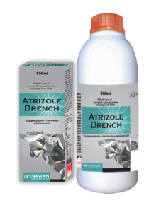 💊 ATRIZOLE Drench – Antiprotozoal & Antidiarrheal Solution for Livestock | Nawan Labs | Maida Medicine 🐄🐑🐐