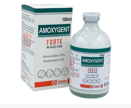Amoxygent Forte Injection (IM) for Animals | Veterinary Antibiotic | Maida Medicine