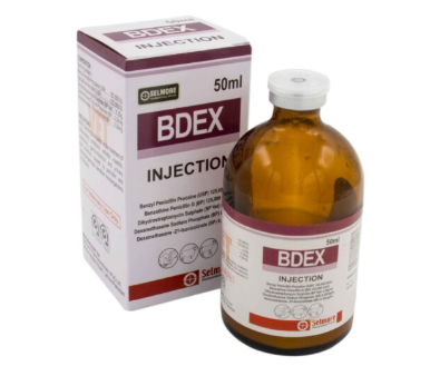 BDEX Liquid Injection for Animals | Veterinary Antibiotic & Antibacterial | Maida Medicine