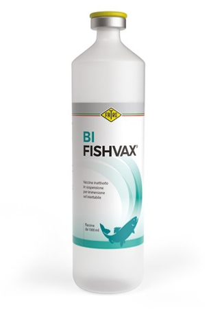 BI-FISHVAX – Veterinary Inactivated Oil-Adjuvanted Vaccine for Bacterial Infections in Fish | Fatro | Maida Medicine