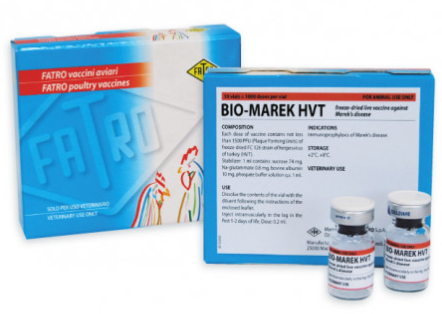 BIO-MAREK HVT – Veterinary Live Attenuated Herpesvirus of Turkey (HVT) Vaccine for Marek’s Disease in Poultry | Fatro | Maida Medicine