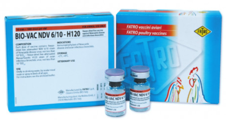 BIO-VAC NDV 6/10 – H120 | Veterinary Live Attenuated Combined Vaccine for Newcastle Disease (NDV 6/10 strain) and Infectious Bronchitis (IBV H120 strain) in Poultry | Fatro | Maida Medicine