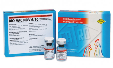 BIO-VAC NDV 6/10 – Veterinary Live Attenuated Newcastle Disease Virus (NDV) Vaccine for Poultry | Fatro | Maida Medicine