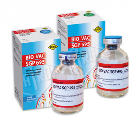 BIO-VAC SGP 695 – Veterinary Live Attenuated Salmonella gallinarum/pullorum (SGP 695 AV Strain) Vaccine for Poultry | Fatro | Maida Medicine