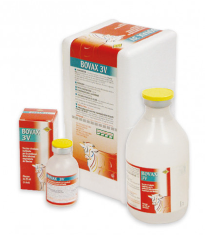 BOVAX 3V – Veterinary Inactivated Trivalent Vaccine for Cattle Against Clostridial Infections | Fatro | Maida Medicine