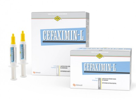 CEFAXIMIN-L Ointment – Veterinary Topical Antibiotic Ointment for Mastitis Treatment in Lactating Dairy Cows | Fatro | Maida Medicine