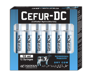 CEFUR-DC IMM INJECTOR – Intramammary Antibiotic for Dry Cows | Nawan Labs| Maida Medicine 🐄💉