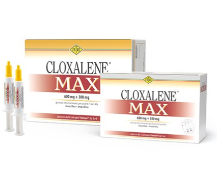 CLOXALENE MAX – Veterinary Intramammary Antibiotic Suspension for Dairy Cows (High-Dose Mastitis Prevention & Treatment at Drying Off) | Fatro | Maida Medicine