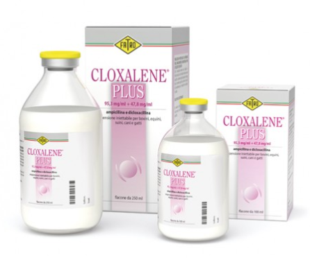 CLOXALENE PLUS – Veterinary Intramammary Antibiotic Suspension for Dairy Cows at Drying Off (Dual Protection Against Mastitis) | Fatro | Maida Medicine