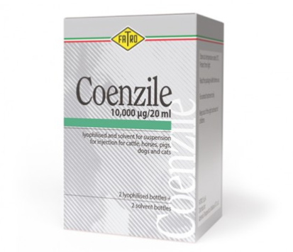 COENZILE 10.000 – Veterinary Injectable Enzyme Preparation for Cattle & Livestock (Coenzyme Therapy) | Fatro | Maida Medicine
