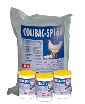 COLIBAC‑SP 160 Powder – Nawan Labs | Maida Medicine Veterinary Store