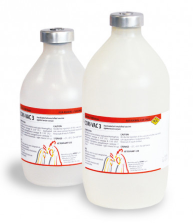 CORI-VAC 3 – Veterinary Coryza Vaccine for Poultry (Haemophilus paragallinarum Serotypes A, B & C Protection) | Fatro | Maida Medicine