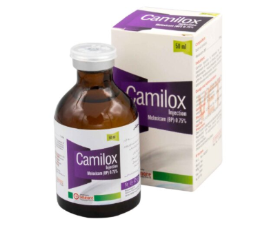 Camilox Injection for Animals | Veterinary Antibiotic & Antibacterial | Maida Medicine