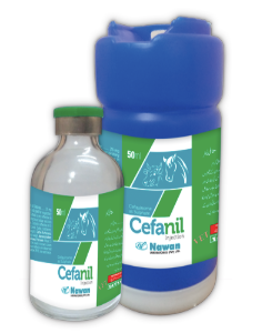 Cefanil Injection – Broad Spectrum Antibiotic for Animals | Nawan Labs 🐄💉