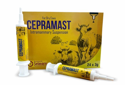 Cepramast Intramammary Suspension for Dry Cows | Mastitis Treatment – Maida Medicine