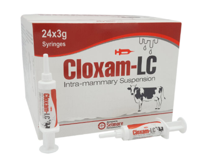 Cloxam LC Intra-mammary Suspension | Mastitis Treatment Veterinary Medicine – Maida Medicine