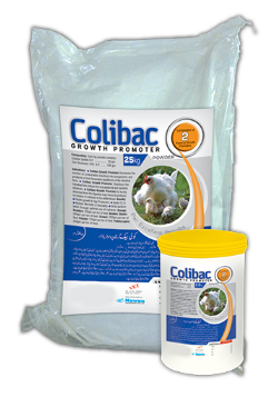 Colibac Powder – Nawan Labs | Maida Medicine Veterinary Store