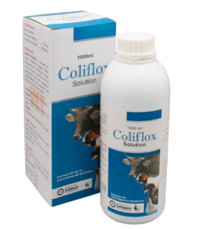 Coliflox Solution | Veterinary Oral Antibiotic – Maida Medicine
