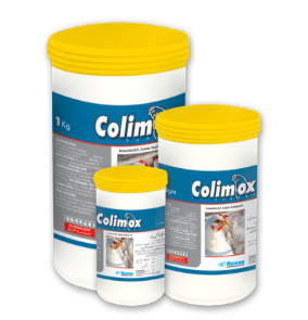 Colimox Powder – Nawan Labs | Maida Medicine Veterinary Store