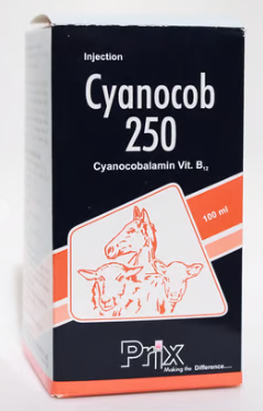 Cyanocob 250 – Maida Medicine Veterinary Store | Trusted Brand for Animal Health