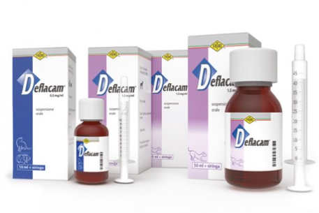 DEFLACAM Oral – Veterinary NSAID (Meloxicam Oral Suspension for Pain & Inflammation in Dogs and Cats) | Fatro | Maida Medicine