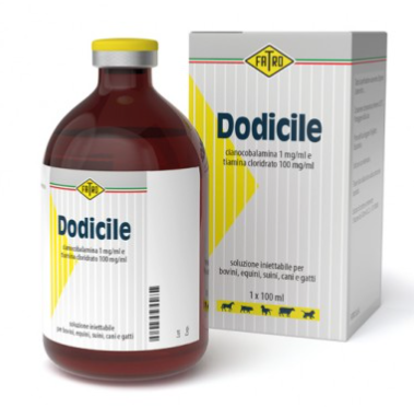 DODICILE – Veterinary Vitamin B1 & B12 Injectable (Metabolic, Nervous System & Recovery Support for Livestock & Pets) | Fatro | Maida Medicine