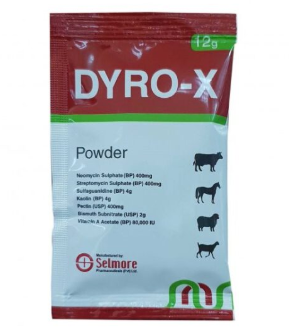 Dyro-X Powder | Veterinary Nutritional Supplement – Maida Medicine
