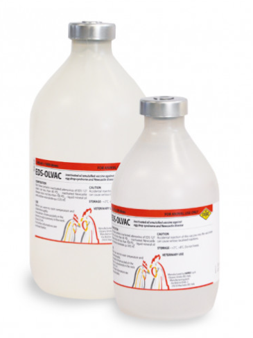 EDS‑OLVAC – Veterinary Vaccine for Egg Drop Syndrome (EDS‑76) in Poultry | Fatro | Maida Medicine