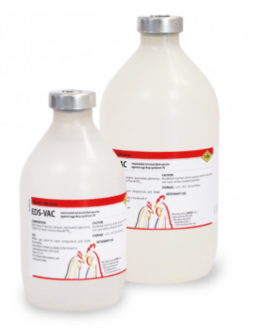EDS‑VAC – Veterinary Vaccine for Egg Drop Syndrome (EDS‑76) in Poultry | Fatro | Maida Medicine
