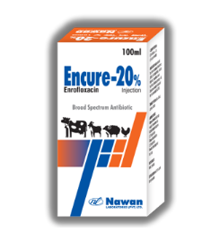 ENCURE-20% Injection by Nawan Labs – Powerful Vet Antibiotic | Maida Medicine