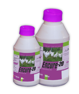 Encure‑20 Solution – Nawan Labs | Maida Medicine Veterinary Store