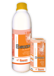 Enrocin Solution – Nawan Labs | Maida Medicine Veterinary Store