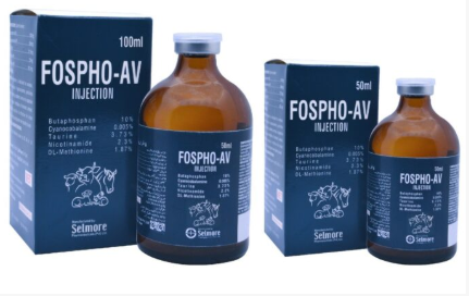 Fospho AV Injection | Veterinary Phosphorus & Energy Booster – Maida Medicine