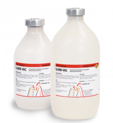 GUMB‑VAC – Maida Medicine Veterinary Store | Trusted Brand for Animal Health