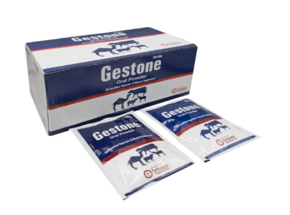 Gestone Oral Powder | Veterinary Energy & Recovery Supplement – Maida Medicine