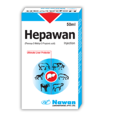 💉 HEPAWAN Injection – Liver Tonic for Animals | Nawan Labs-Maida Medicine 🐄🐐