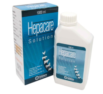 Hepacare Solution | Liver Tonic & Detox for Animals – Maida Medicine