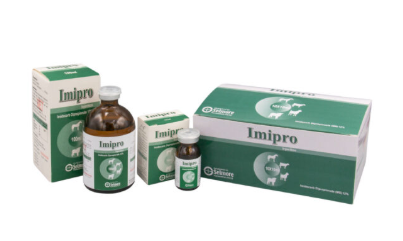 Imipro Injection for Animals | Broad Spectrum Antibiotic – Maida Medicine