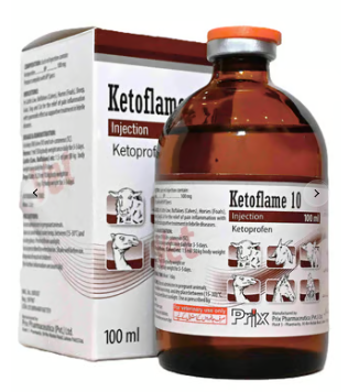 Ketoflame 10 – Maida Medicine Veterinary Store | Trusted Brand for Animal Health