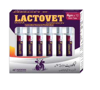 🐄💉 LACTOVET IMM Suspension – Effective Intramammary Treatment for Mastitis in Cattle & Goats | Nawan Labs | Maida Medicine