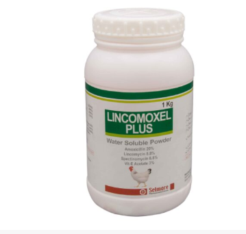 Lincomoxel Plus Oral Powder for Poultry | Broad Spectrum Antibiotic – Maida Medicine