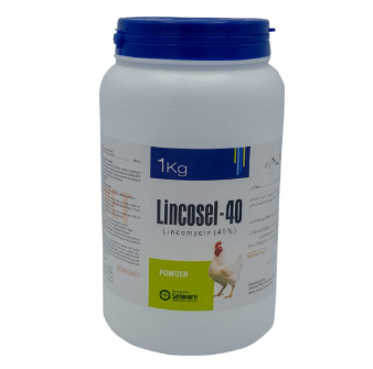 Lincosel-40 Oral Powder for Poultry | Effective Antibiotic for Respiratory & Gut Infections – Maida Medicine
