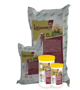 Lincowan‑11 Premix Powder – Nawan Labs | Maida Medicine Veterinary Store